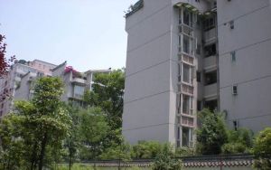 华阳桃李园2室1厅东