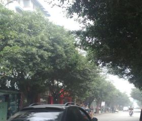 龙城3室2厅东南