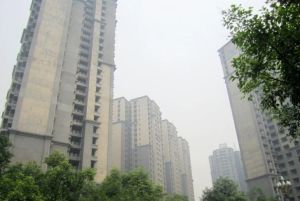 博雅新城B区3室1厅南