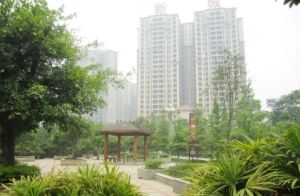 博雅新城B区3室1厅南