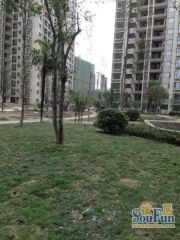 军安卫士花园4室1厅北