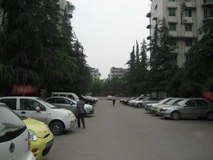 越鞠苑 2室1厅 东南