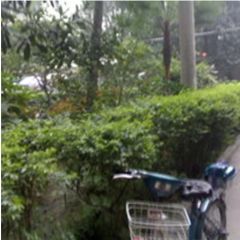 青羊上街398号3室1厅南