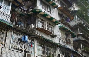 东顺苑3室2厅南