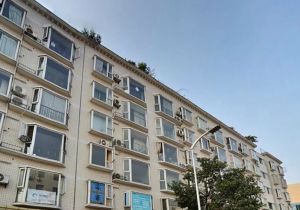 静香庭园3室2厅西