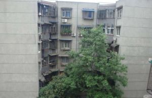 大石南路198号1室1厅南北