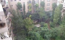 龙锦慧苑 4室2厅 东南 西北