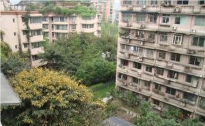【锦里中路小区】| 成都市青羊区锦里中路12号1栋1单元6楼局部(1-5号、7-10号)