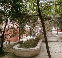 东城根南街56号2室1厅南