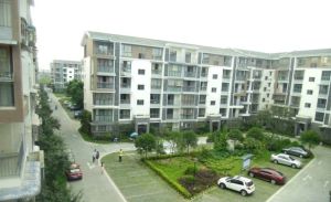兴堰丽景D区2室1厅东南