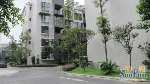 沙西明珠 3室1厅 东南