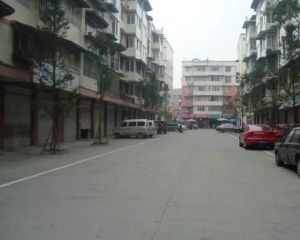 怡馨苑 3室2厅 东南