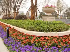 中央香榭花园一期 南北通透,采光好 近地铁 视野好,诚心出售