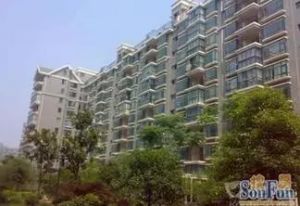 银桂苑,精装修,楼层好,采光好,无遮挡。