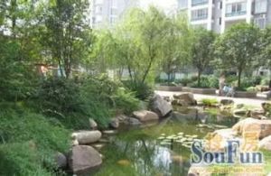 此房满两年,采光充足,视野宽阔,出门方便.