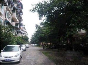 泰来小区5室2厅东南