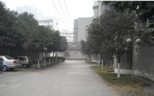 农行家属院2室2厅东南