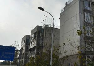 东虹路65号院1室1厅东南东南西南