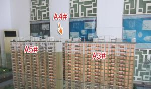 三房两厅格局,户型好,采光好,