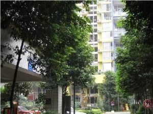 致民东路10号 2室2厅 西南