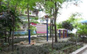 文华路新13号 3室1厅 南