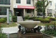 龙新家园 5室2厅 南