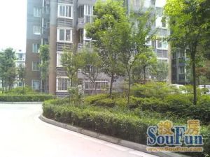 锦馨家园A区2室2厅西