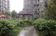 锦馨家园B区 1室1厅 东南 南