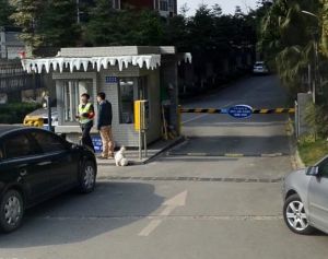 魅力阳光2室1厅西南