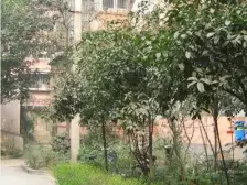 家和楼 3室1厅 东南