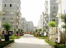 普庆苑东区北区3室1厅南北