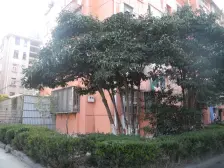 城南新村 2楼,精装修一房,适合一两个人居住