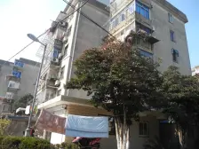 光明新村, 好楼层 西边户型,房型方正 ,阳光好