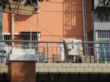 城南新村 位置好 视野好 交通方便 生活便利