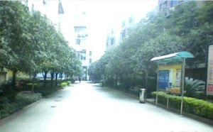 缔煌城电梯公寓 2室1厅 东南