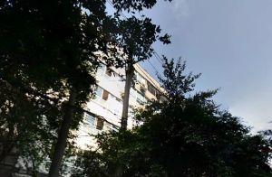 武侯祠横街8号2室1厅南