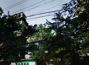 武侯祠横街3室1厅北南