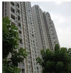 龙锦湾3室2厅东南南
