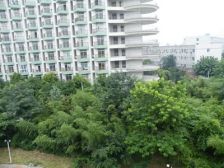 五角大楼 3室2厅 南