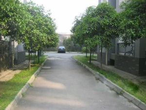 紫坪丽景3室2厅东东南