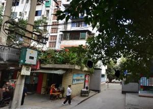 东篱路68号2室1厅南