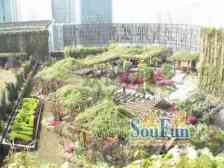 西城上域 3室2厅 东 西