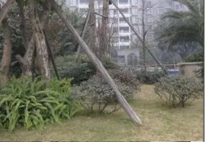 仁和居 2室1厅 南