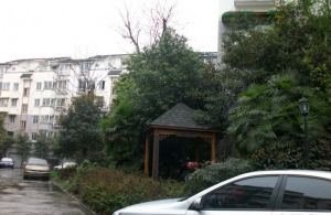 康桥水乡B区 3室2厅 南 北