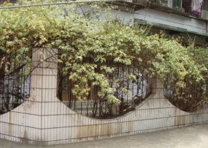广场家苑2室2厅西北