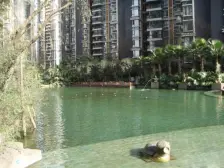 浅水半岛二期 2室1厅 东南 南 西南