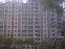 楼层好 采光好 看房方便 不临路 楼下50米双地铁