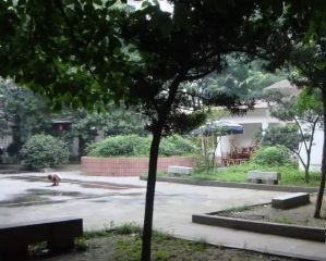 沙湾路71号2室2厅南北