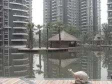 浅水半岛一期 3室2厅 东南