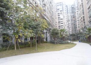 双玺2室1厅东